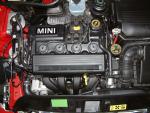Zorce-Mini-24-1.jpg