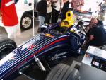 ZORCE-RB-F1-JAMAICA-32882.jpg