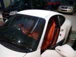 183532@Zorce-911-29oct08.jpg