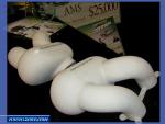 DSCF1357.jpg