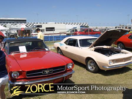 Spring-Classic-_Z250632.jpg