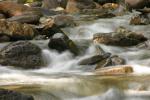 Toco River 2007.jpg