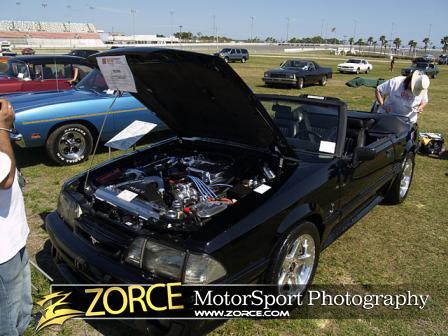 Spring-Classic-_Z250267.jpg