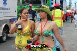 105259-ZORCE.jpg