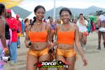142136-ZORCE.jpg