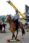 144631-ZORCE.jpg
