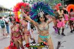 113354-ZORCE.jpg