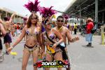 113704-ZORCE.jpg