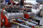 141827-ZORCE.jpg