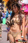 21140758-ZORCE.jpg
