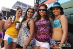11105308-ZORCE.jpg