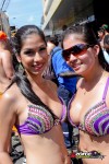 11111019-ZORCE.jpg