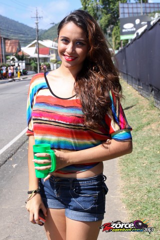 11142130-ZORCE.jpg
