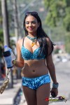 11151038-ZORCE.jpg