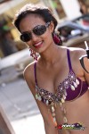 11155743-ZORCE.jpg