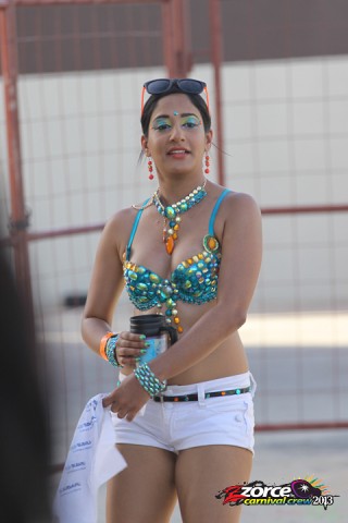 11161529-ZORCE.jpg