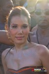 11171226-ZORCE.jpg