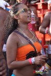 11171728-ZORCE.jpg